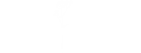 Annie Mecchi Photography Logo